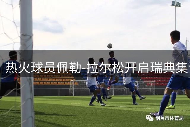 热火球员佩勒-拉尔松开启瑞典集训之旅